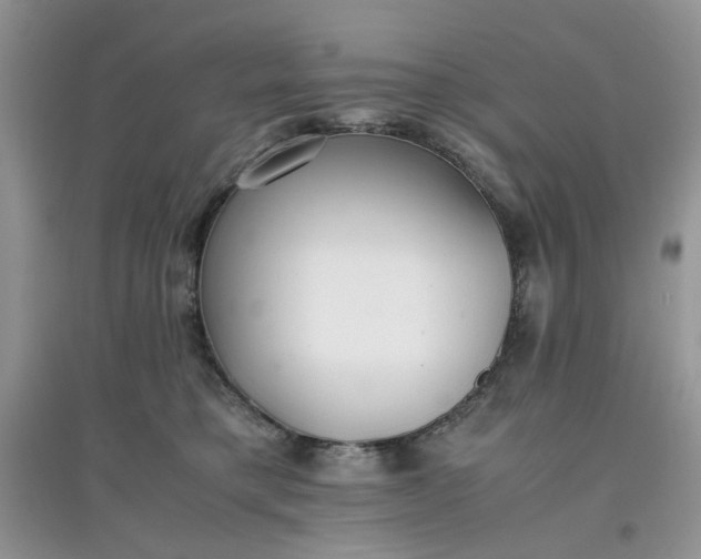 X0000097640421200803142051