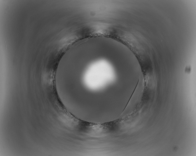 X0000097640423200803142051