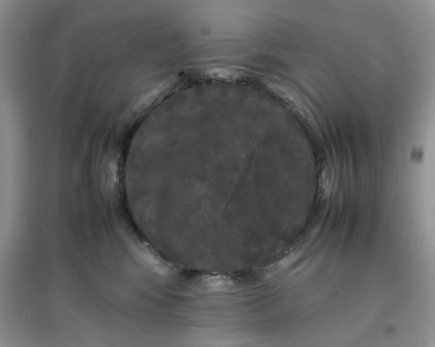 X0000097640424200803142051