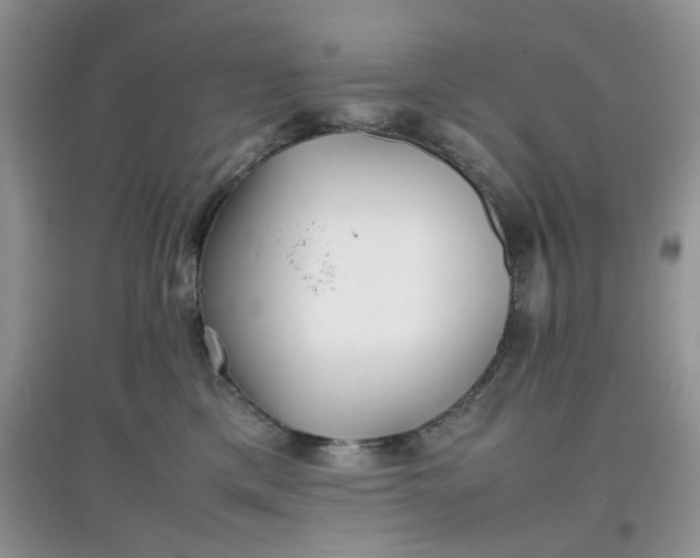 X0000097640425200803142051