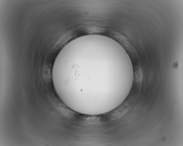 X0000097640426200803142051