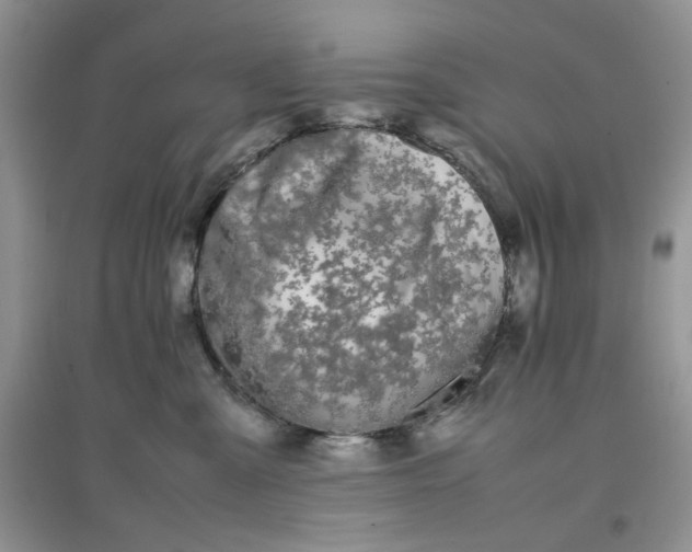 X0000097640427200803142051