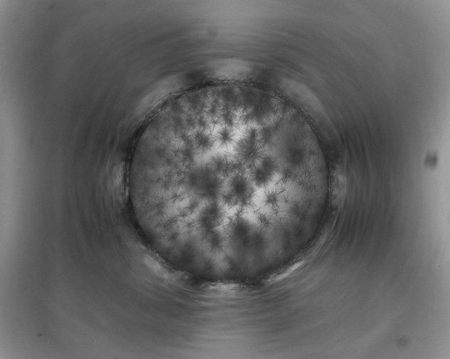 X0000097640428200803142051