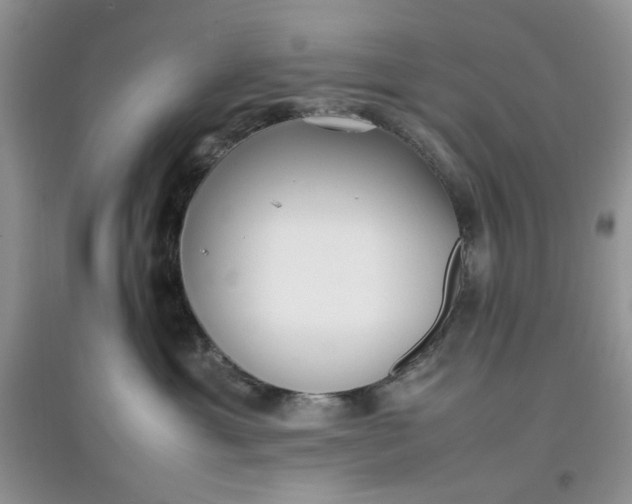 X0000097640429200803142051