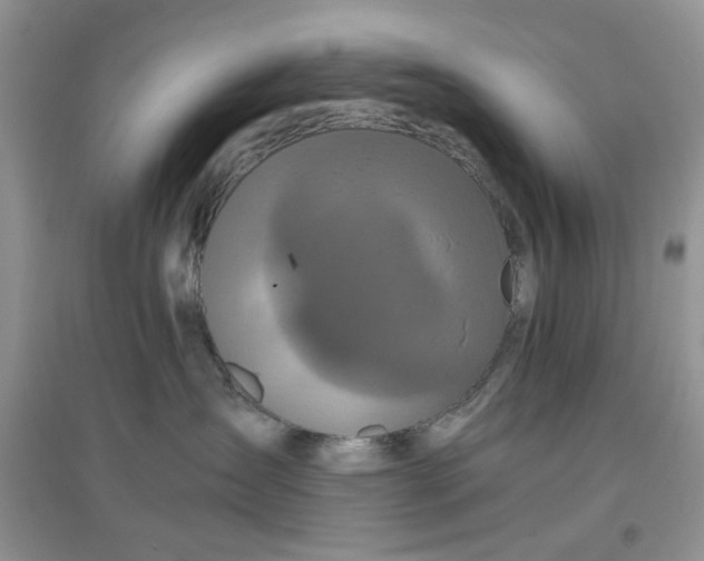 X0000097640431200803142051