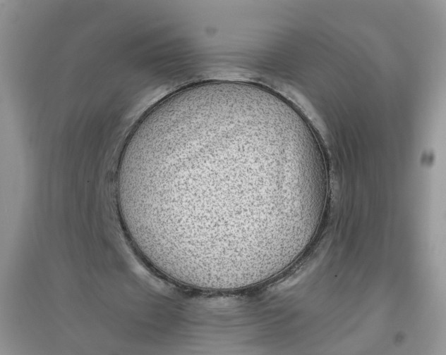 X0000097640433200803142050