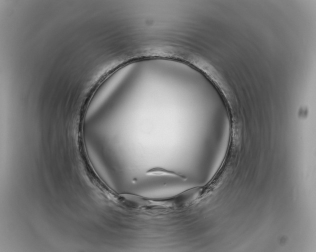 X0000097640434200803142050