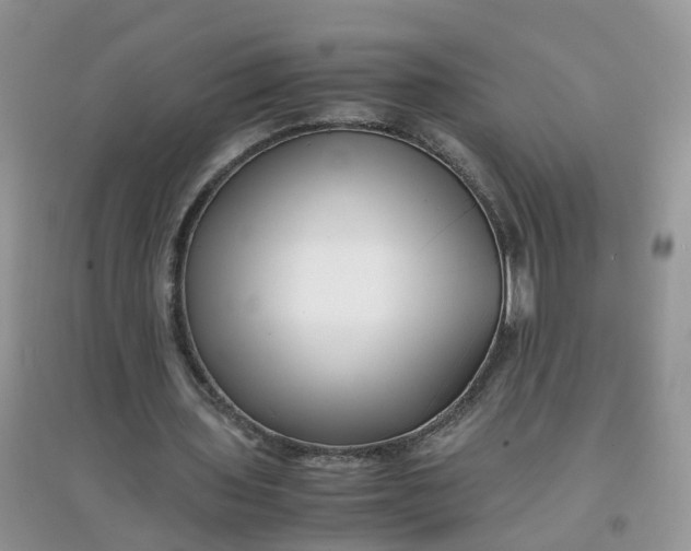 X0000097640435200803142050