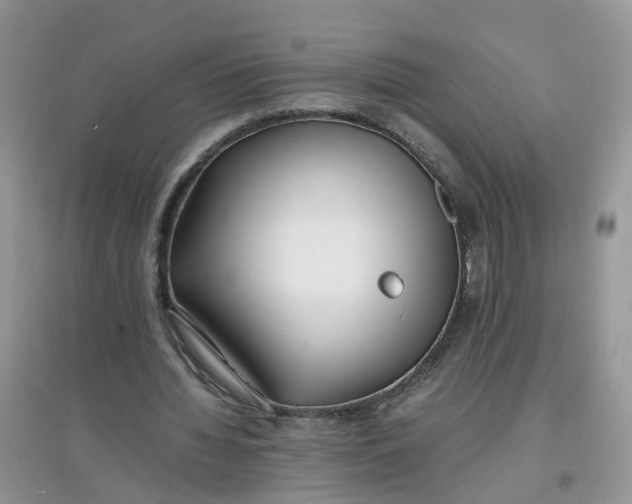 X0000097640436200803142050