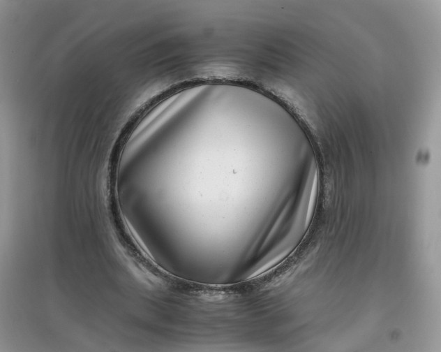 X0000097640439200803142050