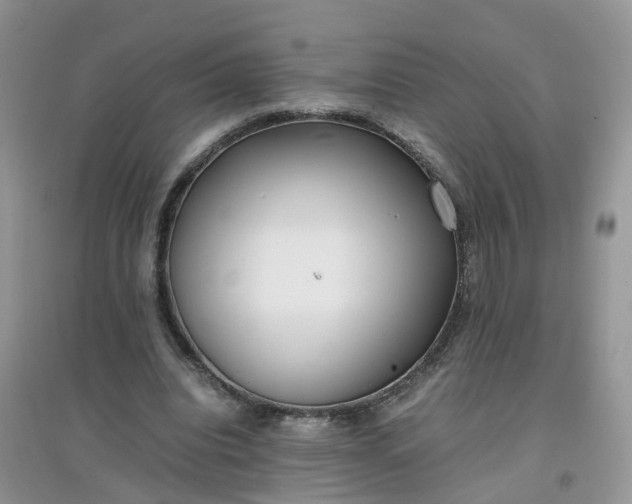 X0000097640440200803142050