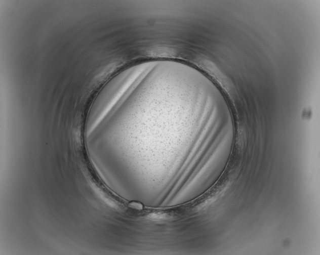 X0000097640441200803142050