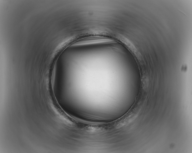 X0000097640442200803142050