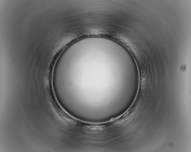 X0000097640443200803142050