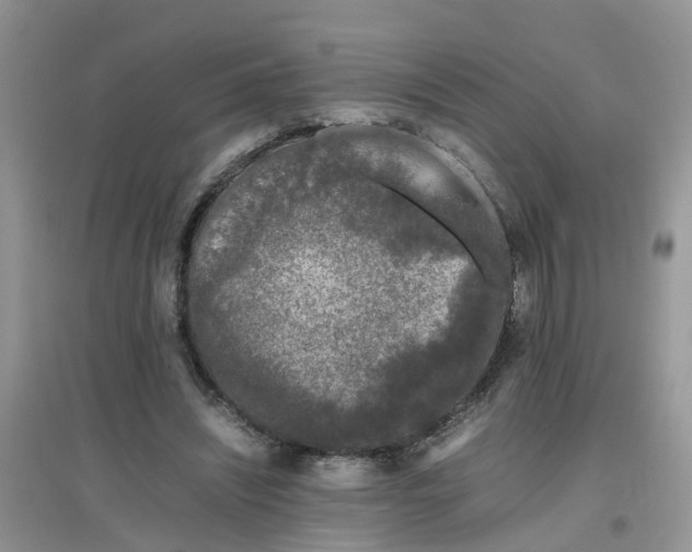 X0000097640444200803142050