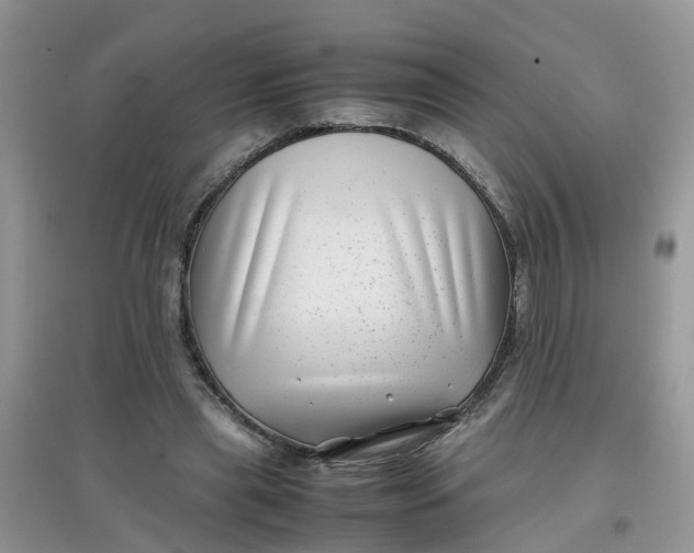 X0000097640445200803142050