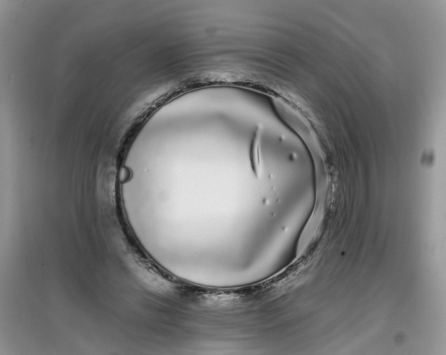 X0000097640446200803142050