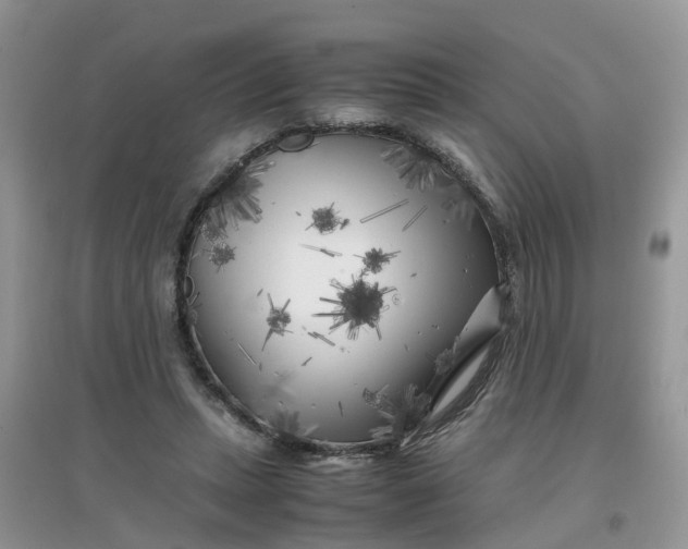 X0000097640447200803142050