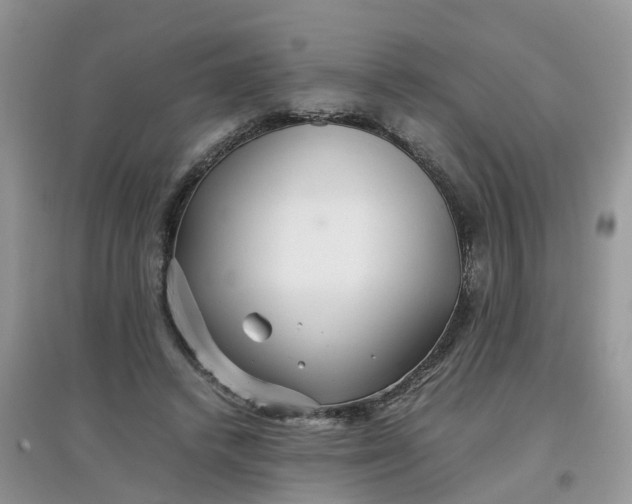 X0000097640448200803142050