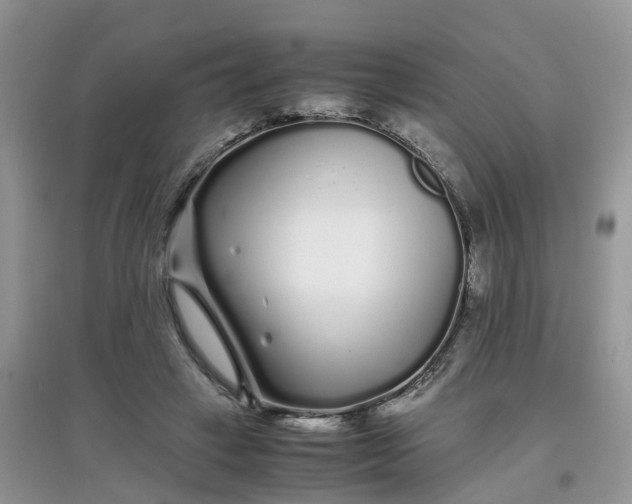 X0000097640449200803142050