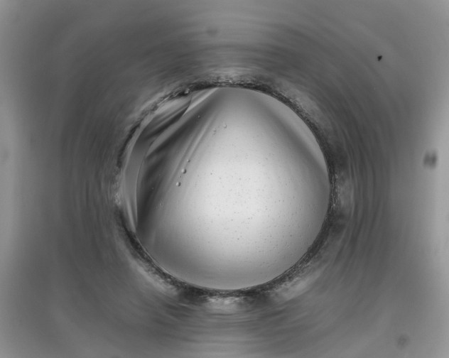 X0000097640450200803142050