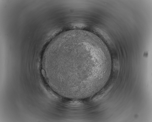 X0000097640451200803142050