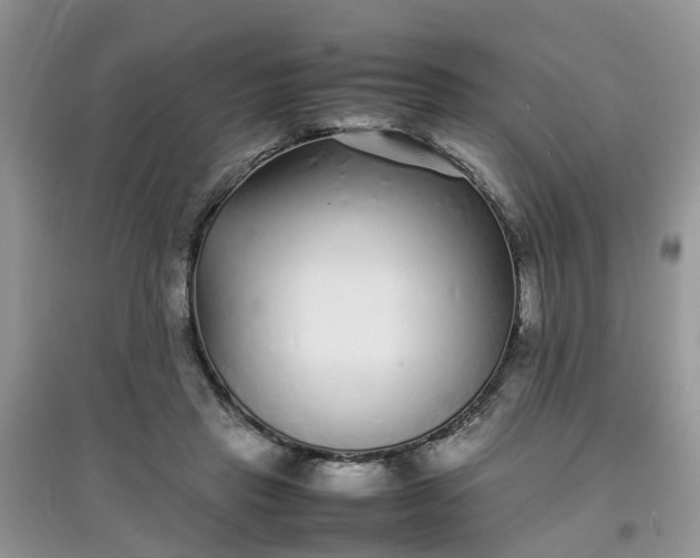 X0000097640453200803142050