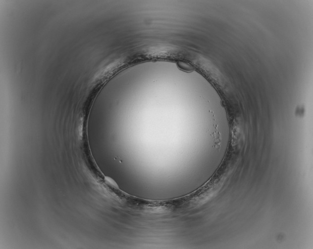 X0000097640454200803142050