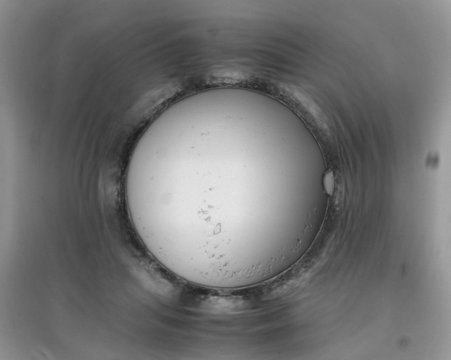 X0000097640455200803142050