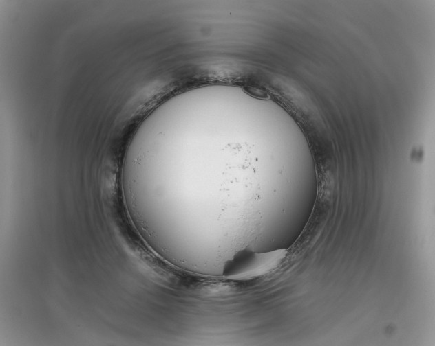 X0000097640456200803142050