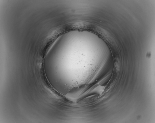 X0000097640458200803142050