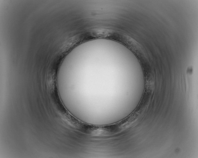 X0000097640460200803142050