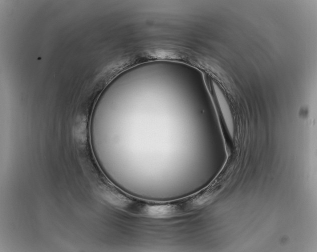 X0000097640461200803142050