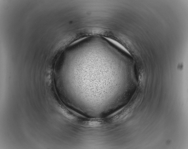 X0000097640462200803142050