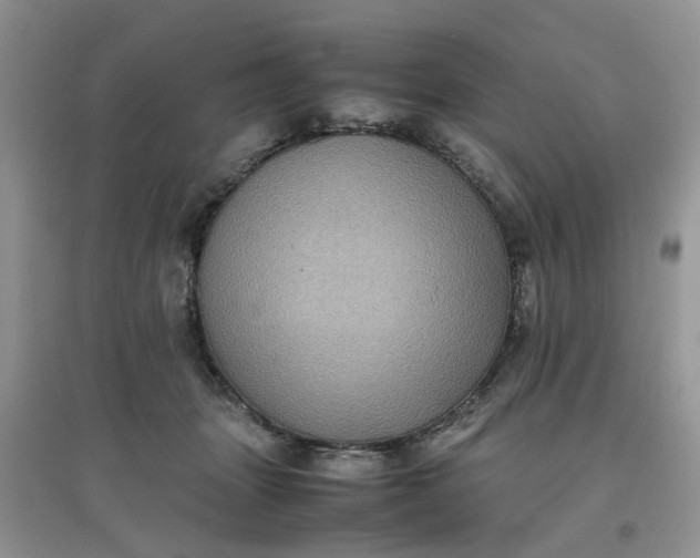 X0000097640463200803142050