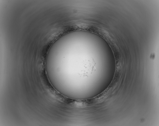 X0000097640464200803142050