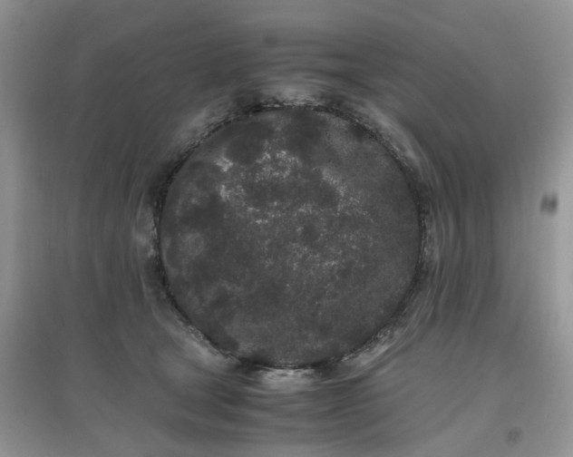 X0000097640465200803142050