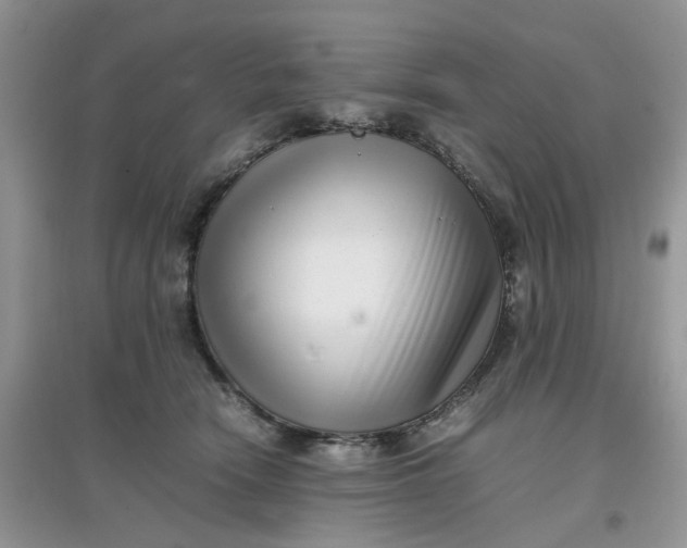 X0000097640466200803142050