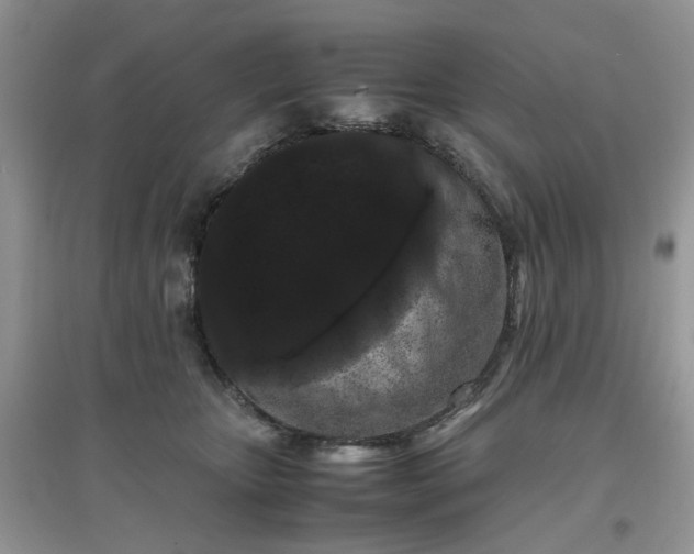 X0000097640467200803142050