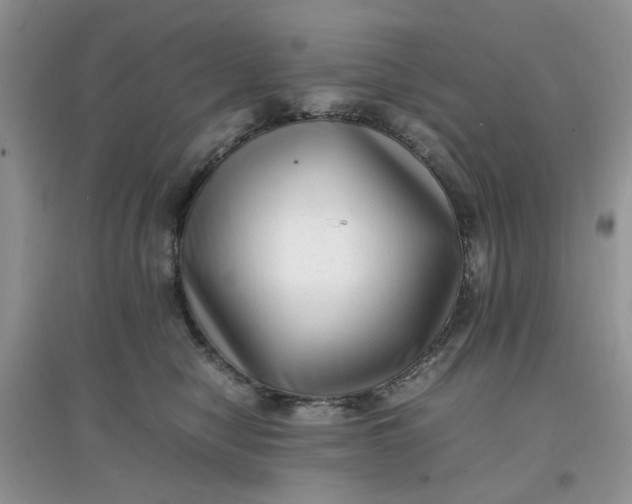 X0000097640470200803142051