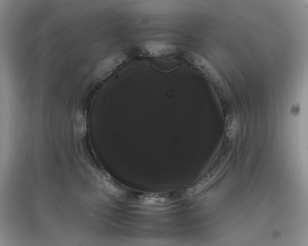 X0000097640471200803142051