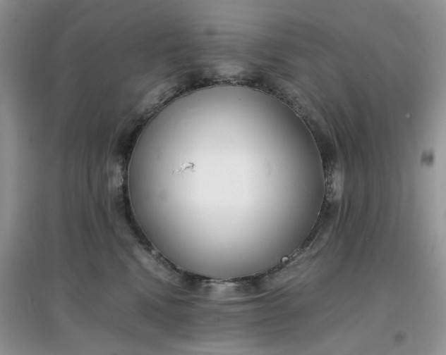 X0000097640472200803142051