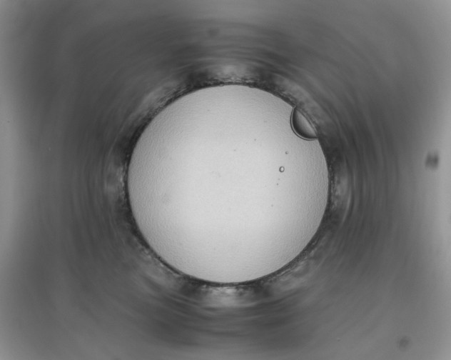 X0000097640473200803142051