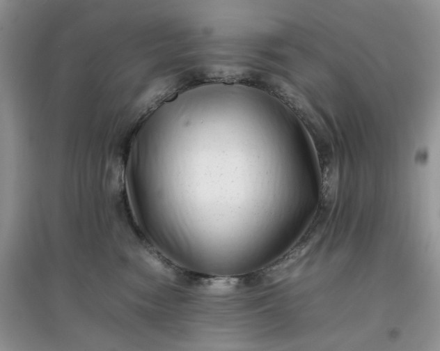 X0000097640474200803142051