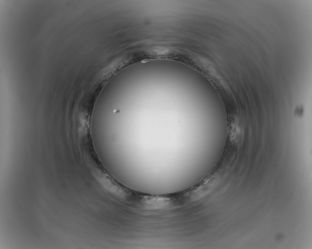 X0000097640476200803142051