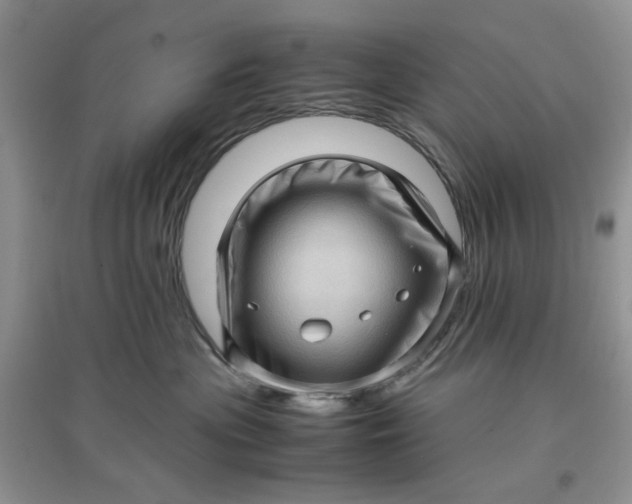 X0000097640477200803142051