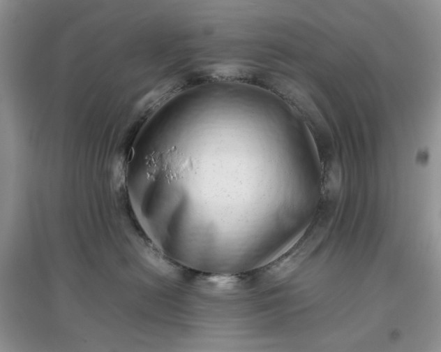 X0000097640478200803142051