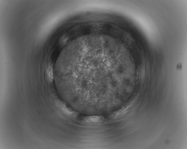 X0000097640479200803142051