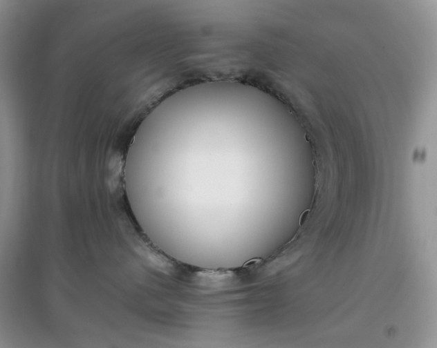 X0000097640480200803142051