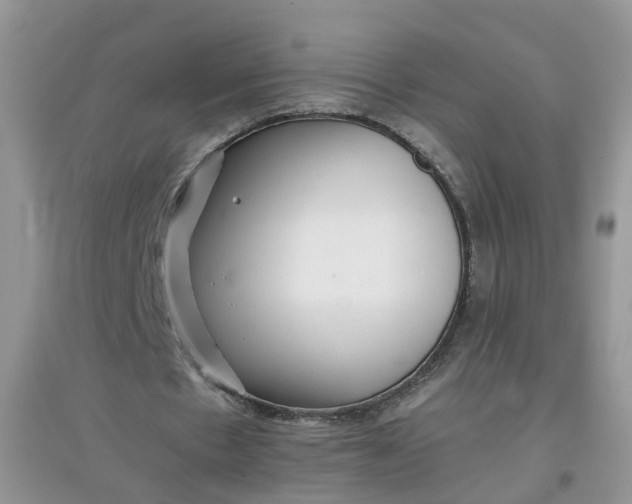 X0000097640481200803142050